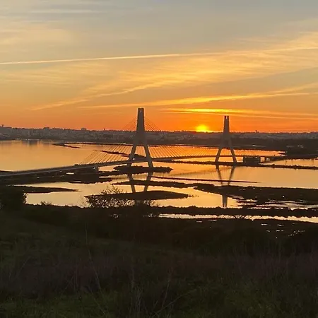 Apartment Blue Paradise