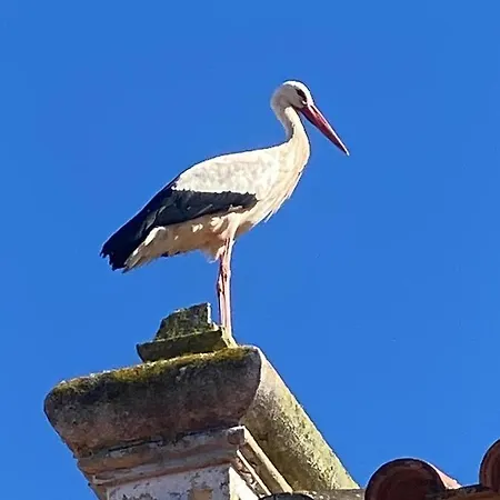Blue Paradise Apartment Lagos