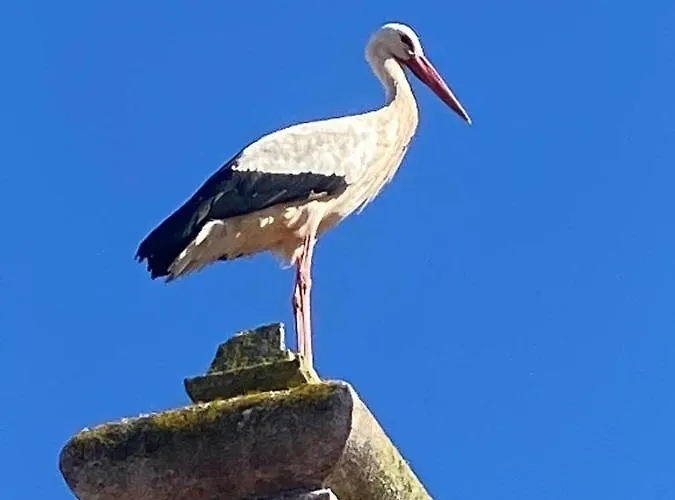 Blue Paradise アパート ラゴス